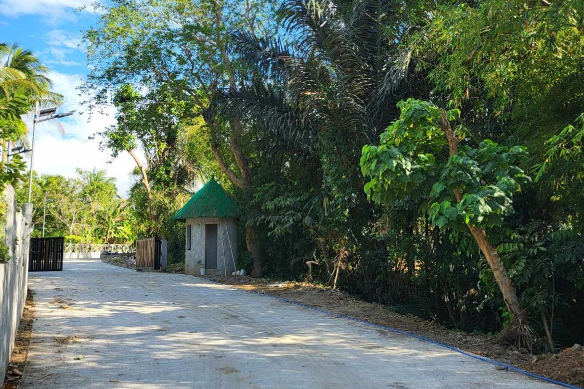 Land for Sale in Mangas I, Alfonso, Cavite – photo 4