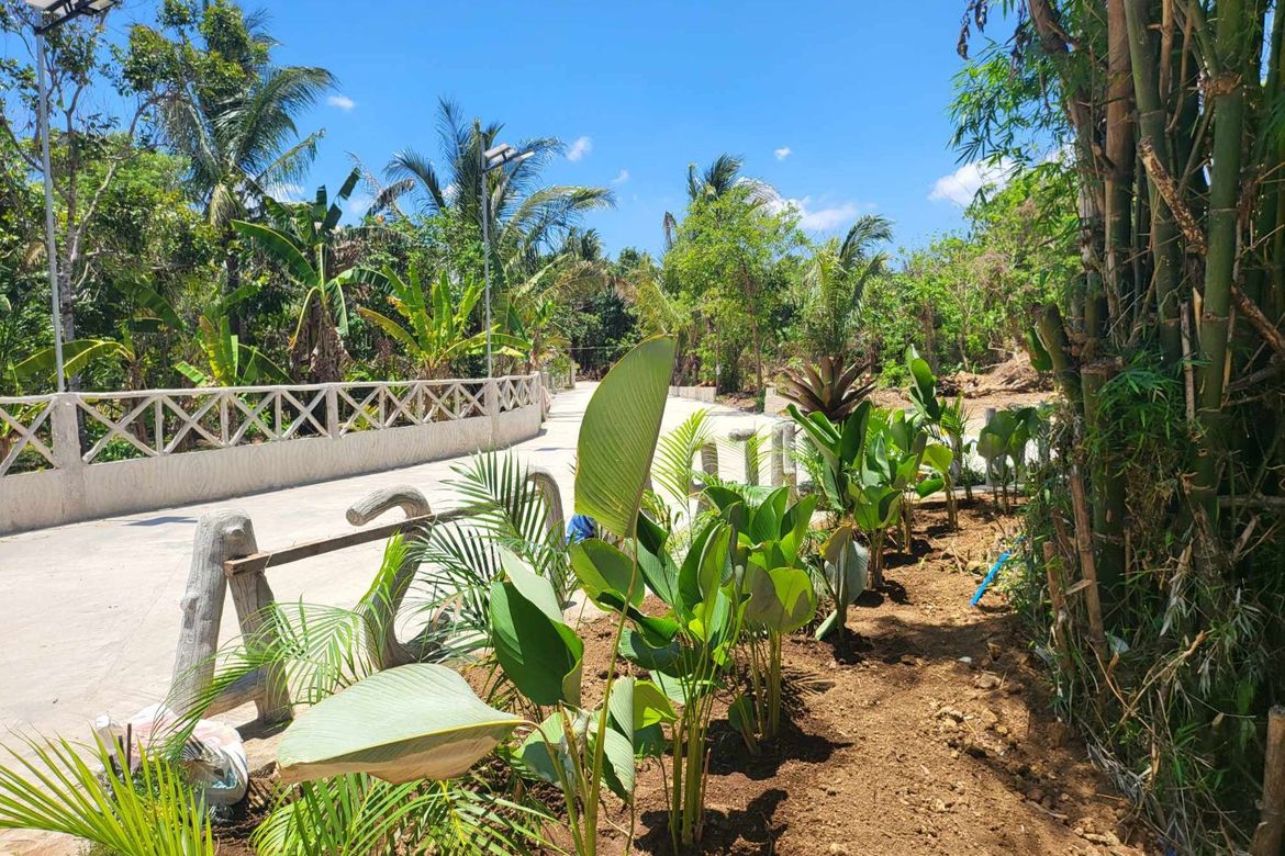 Land for Sale in Mangas I, Alfonso, Cavite – photo 8
