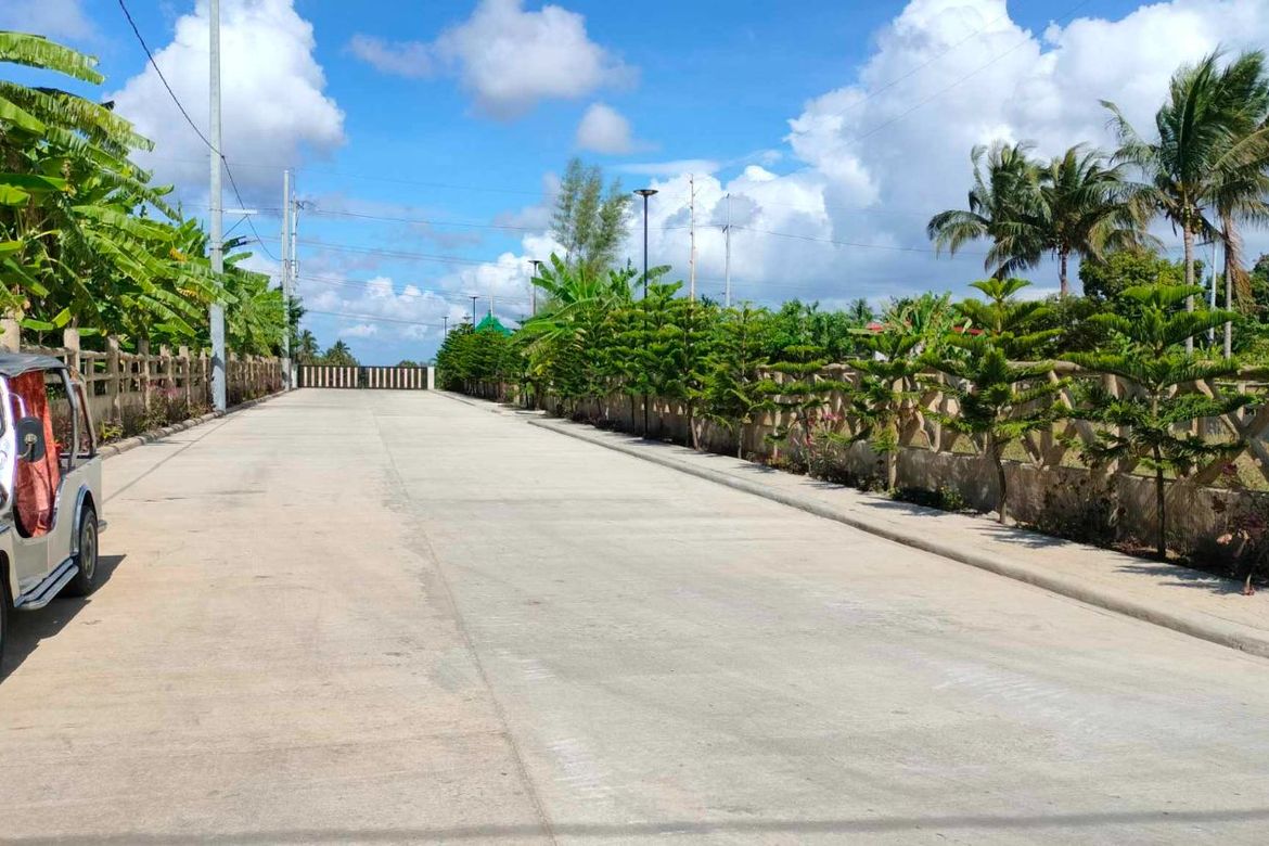 Land for Sale in Mangas I, Alfonso, Cavite – photo 8