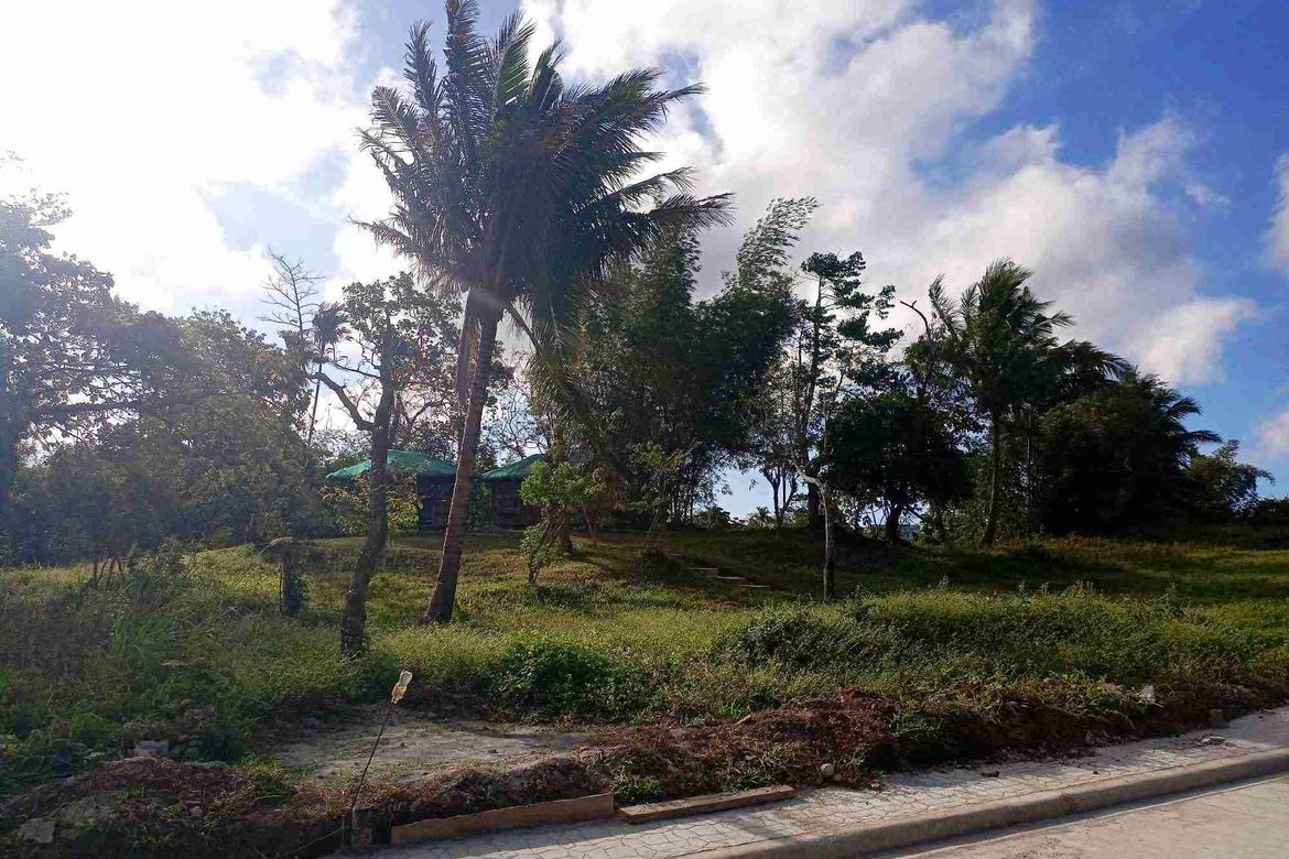 Land for Sale in Mangas I, Alfonso, Cavite – photo 2