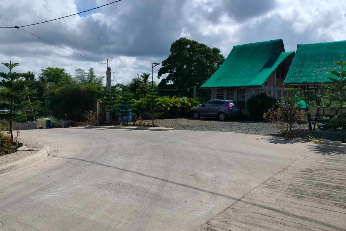 Land for Sale in Mangas I, Alfonso, Cavite – photo 2