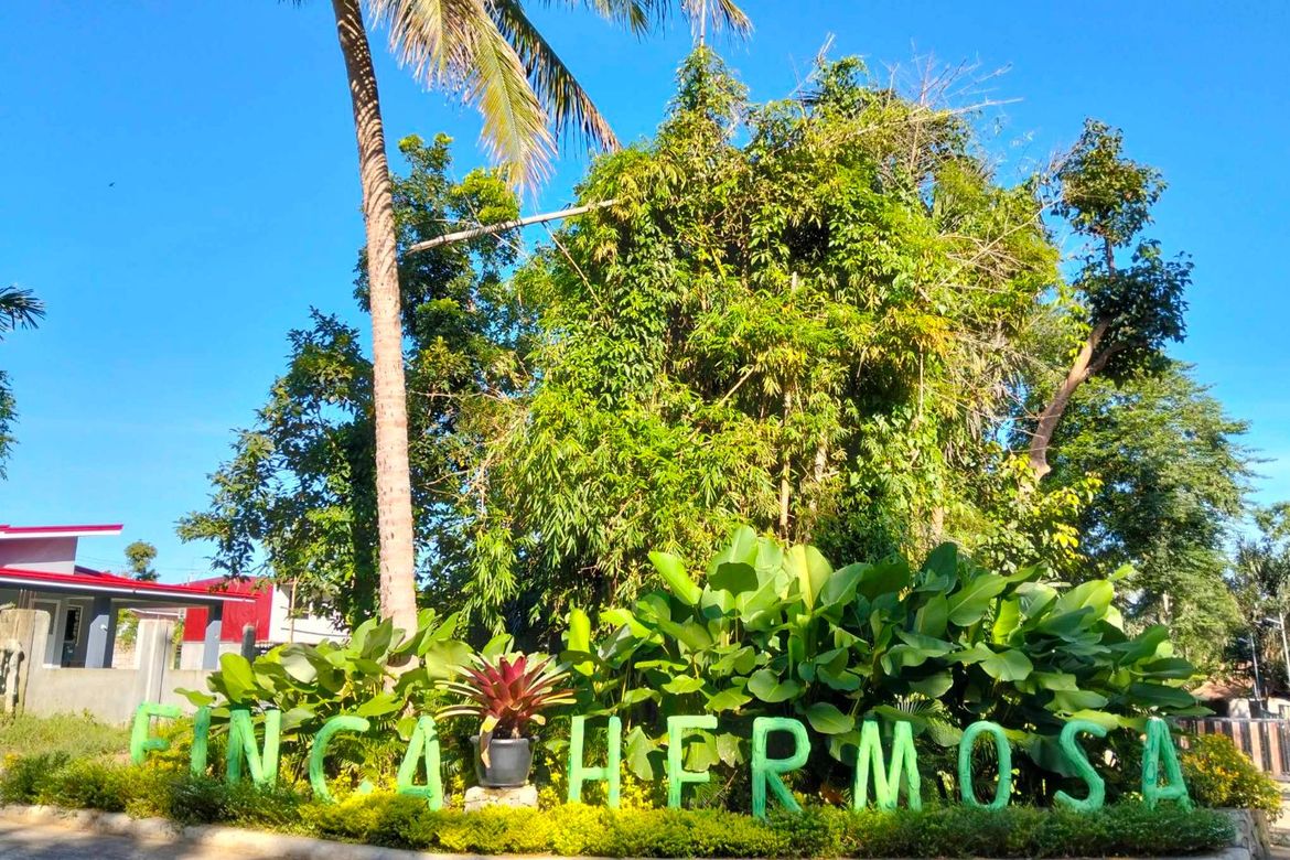 Land for Sale in Mangas I, Alfonso, Cavite – photo 3