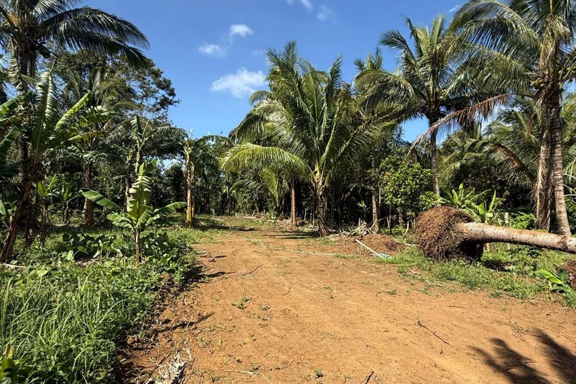 Land for Sale in Mangas I, Alfonso, Cavite