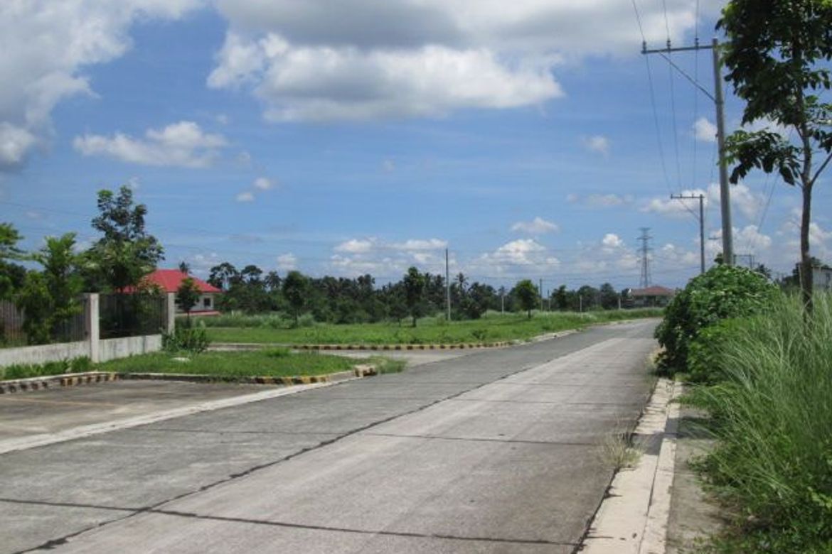 Land for Sale in Mangas I, Alfonso, Cavite – photo 4