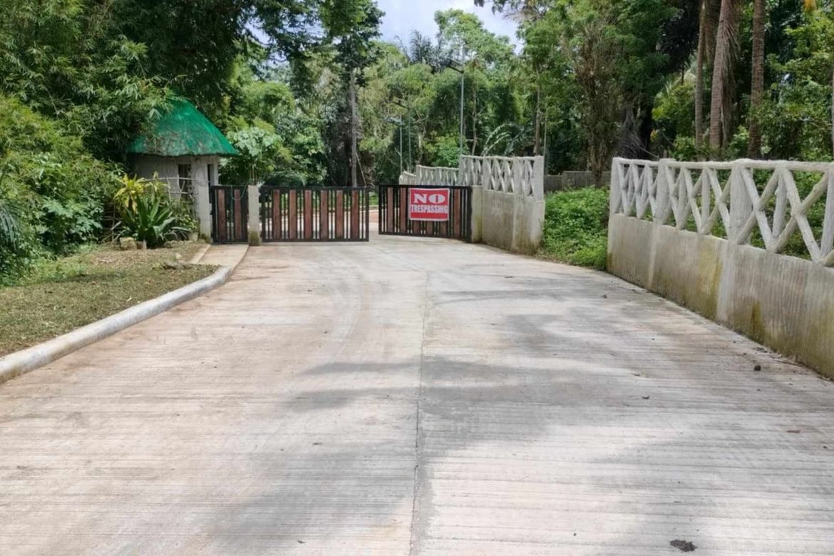 Land for Sale in Mangas I, Alfonso, Cavite – photo 8