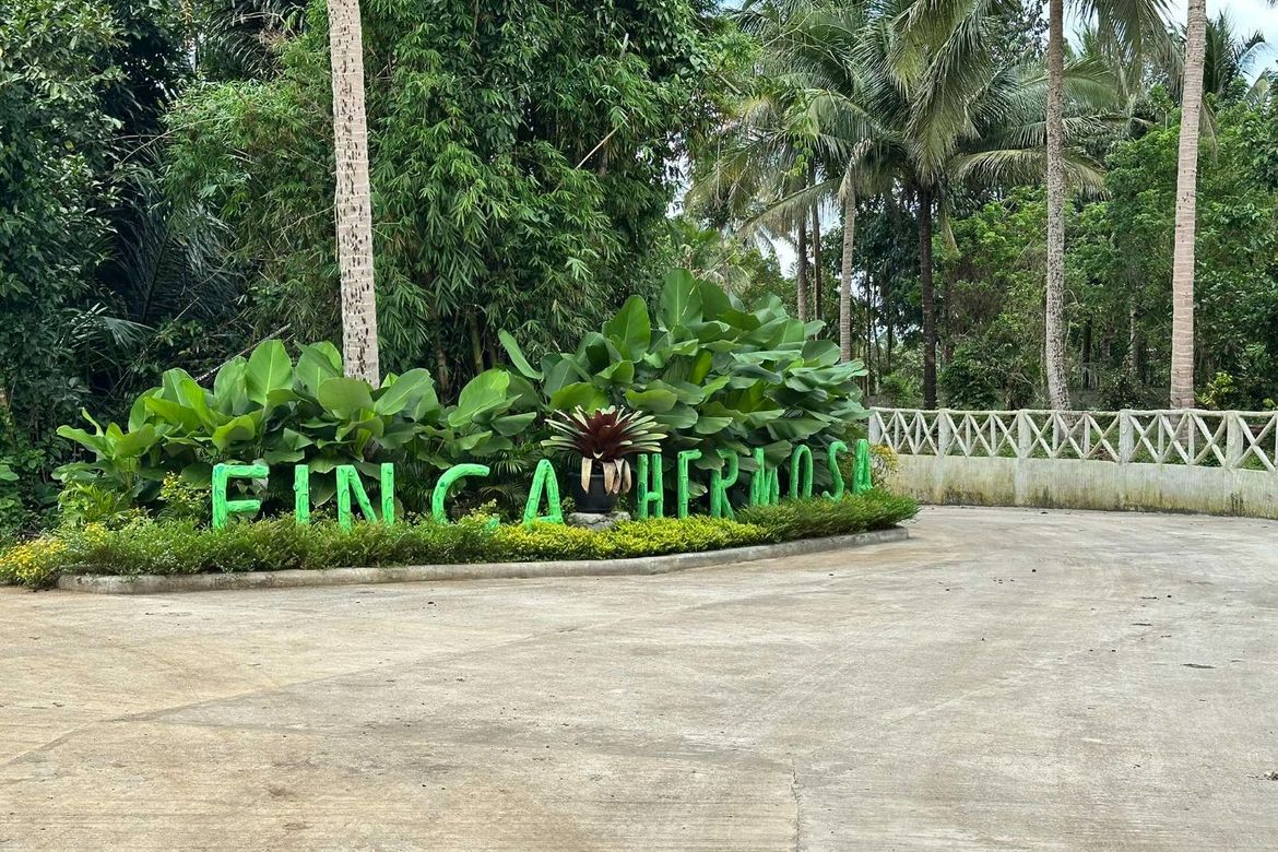 Land for Sale in Mangas I, Alfonso, Cavite – photo 4