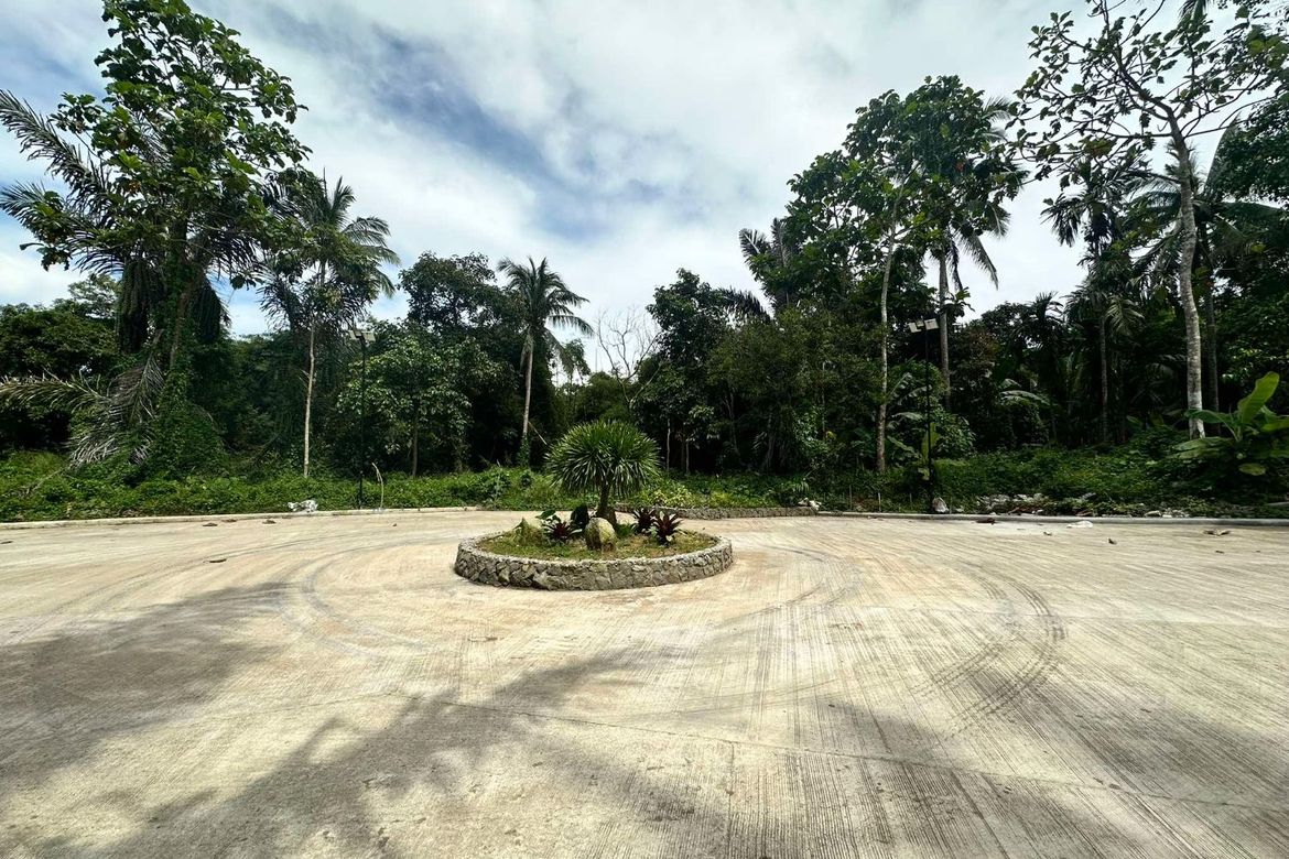 Land for Sale in Mangas I, Alfonso, Cavite – photo 5