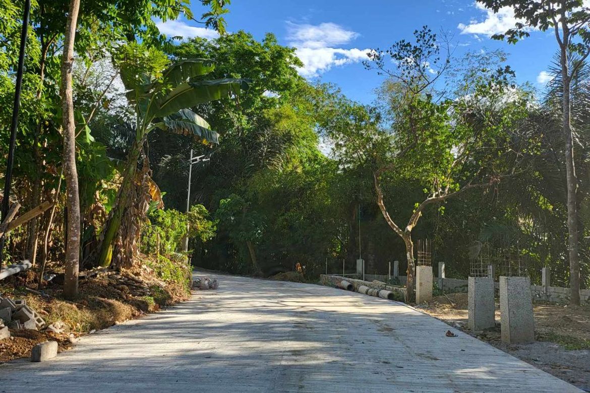 Land for Sale in Mangas I, Alfonso, Cavite – photo 7