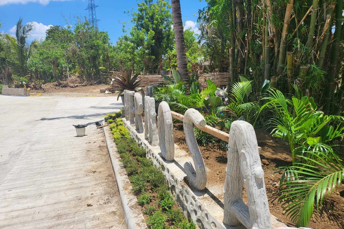 Land for Sale in Mangas I, Alfonso, Cavite – photo 6