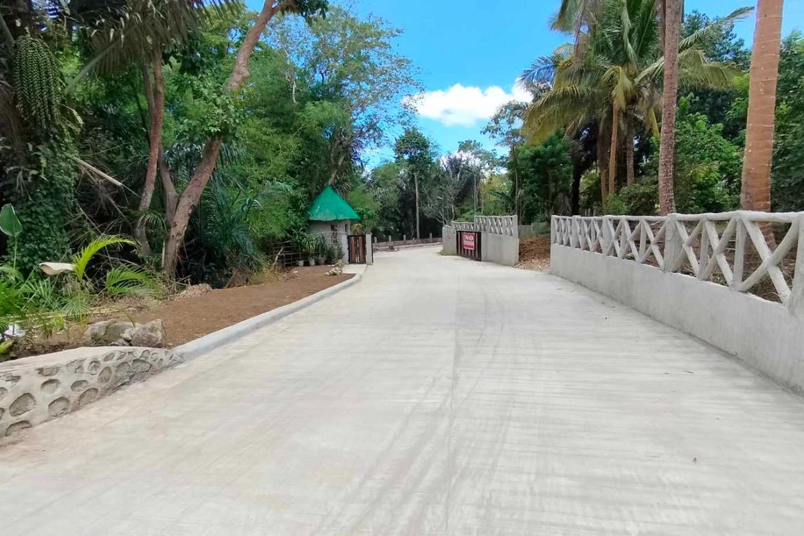 Land for Sale in Mangas I, Alfonso, Cavite – photo 8