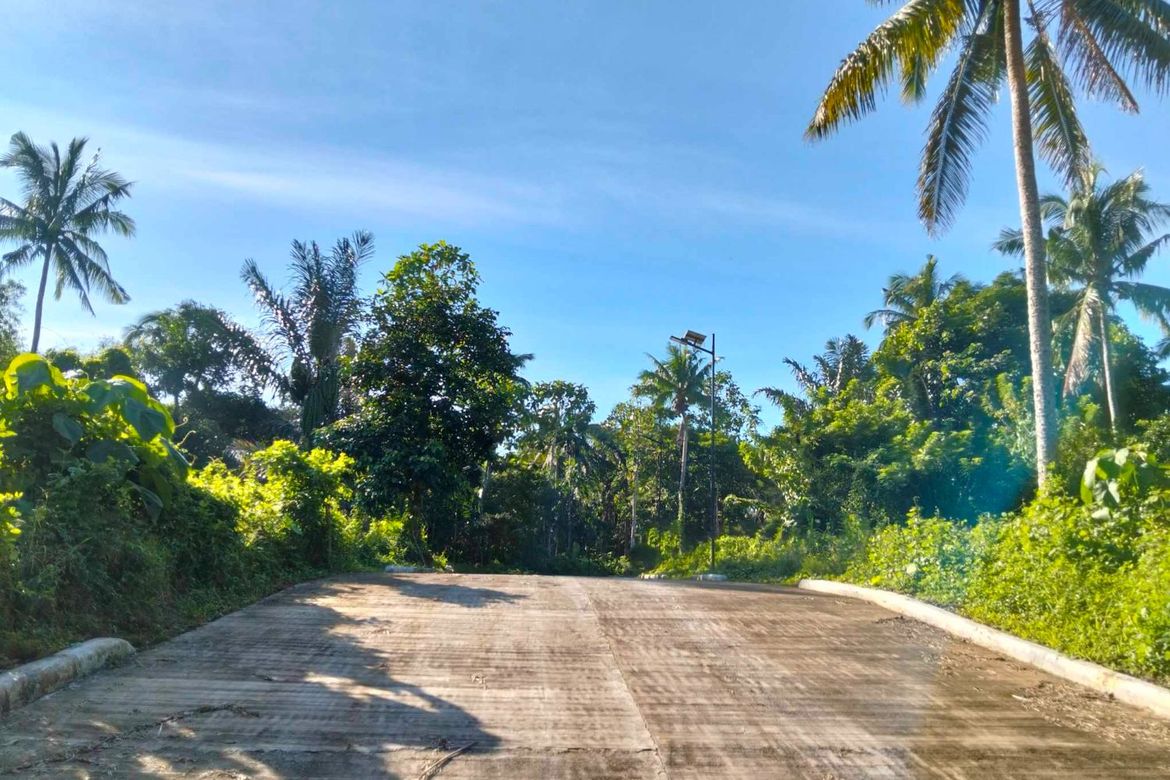 Land for Sale in Mangas I, Alfonso, Cavite – photo 2
