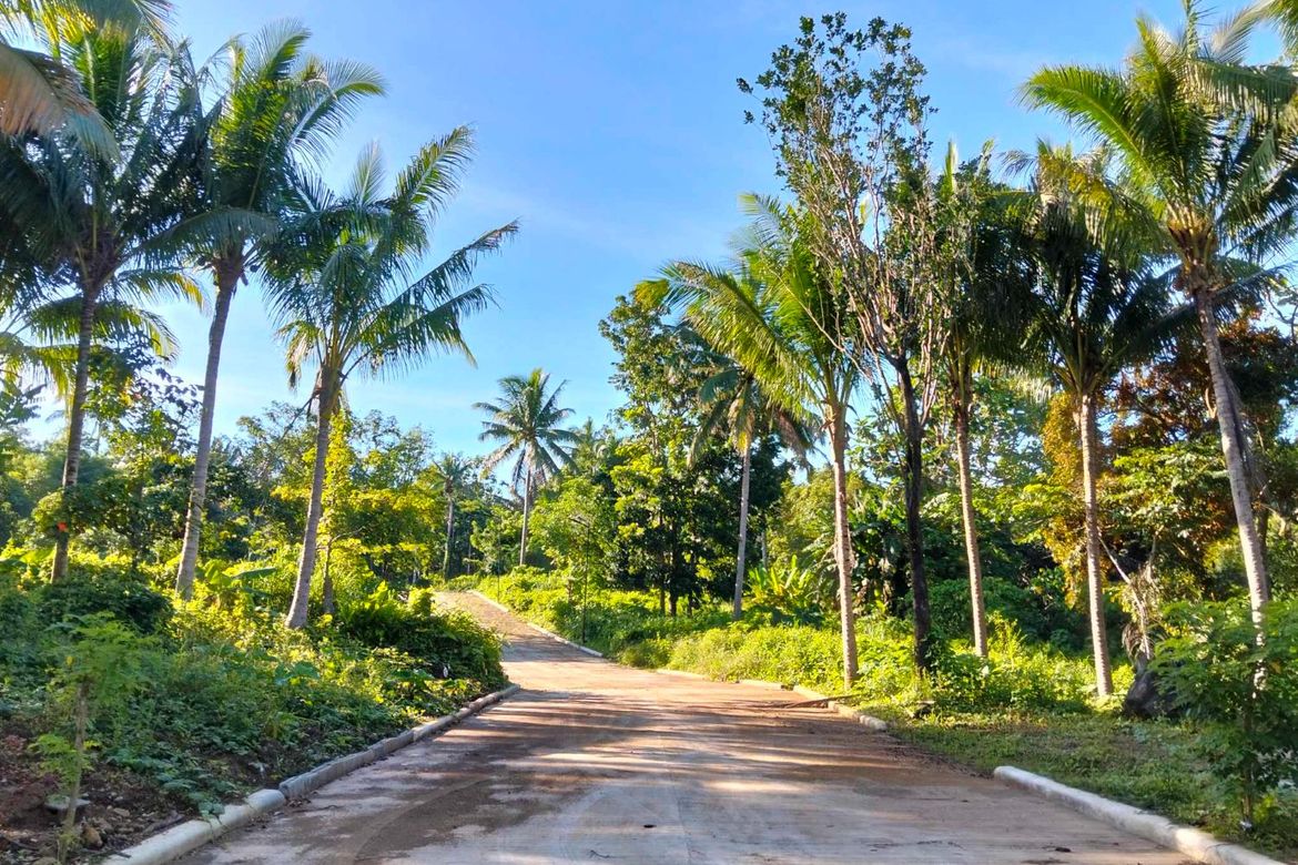 Land for Sale in Mangas I, Alfonso, Cavite – photo 6