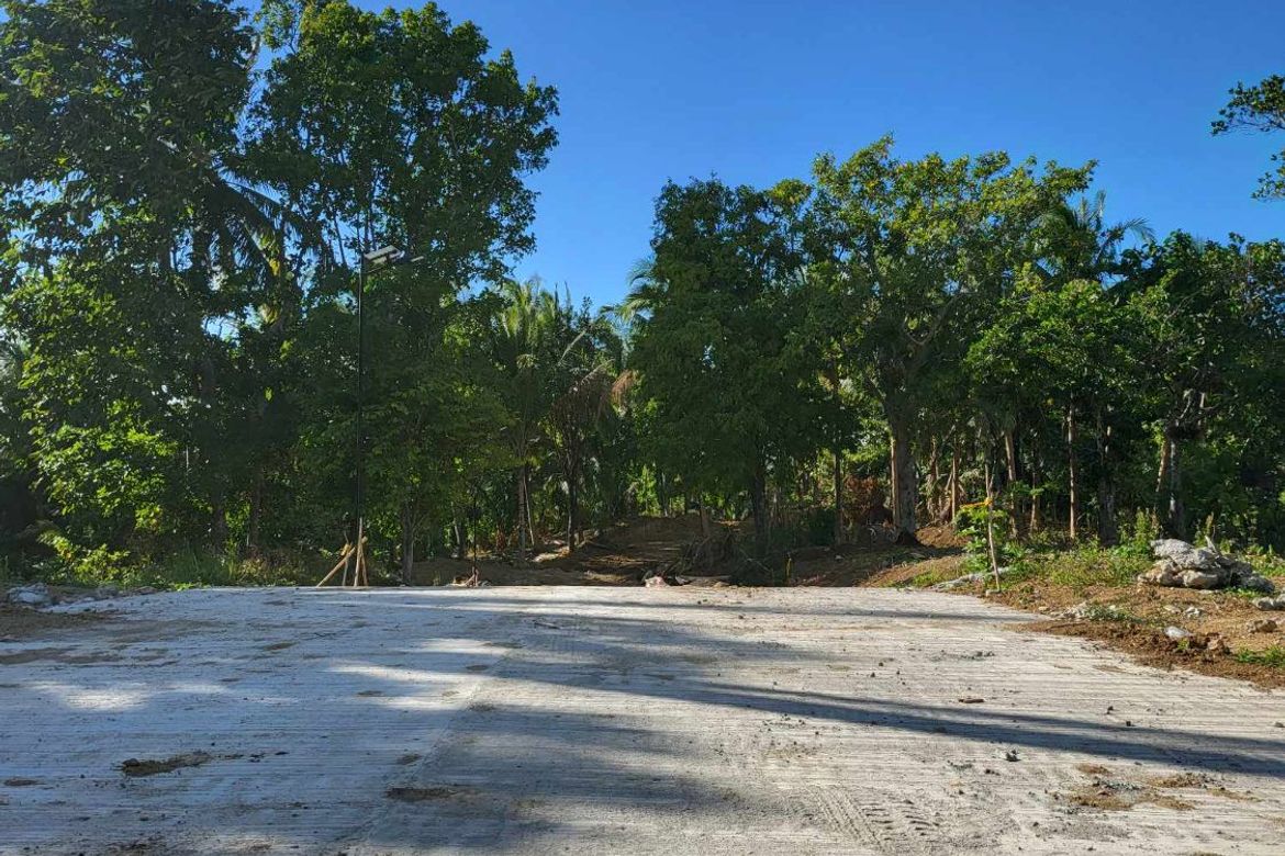 Land for Sale in Mangas I, Alfonso, Cavite – photo 7