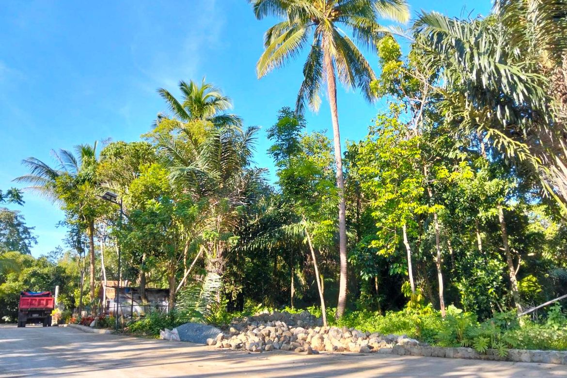 Land for Sale in Mangas I, Alfonso, Cavite