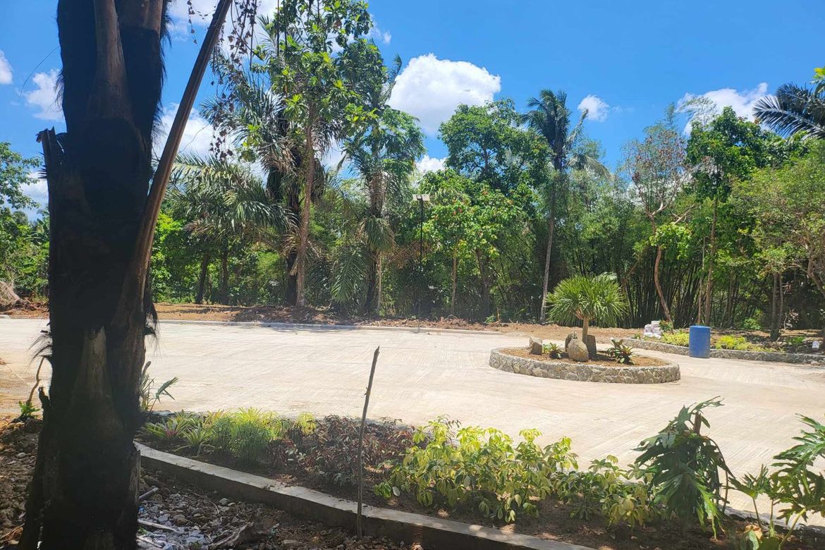 Land for Sale in Mangas I, Alfonso, Cavite – photo 6