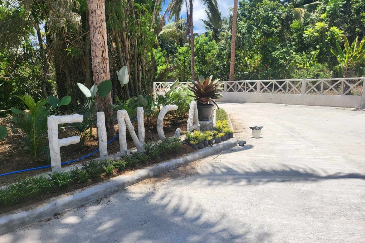 Land for Sale in Mangas I, Alfonso, Cavite – photo 7