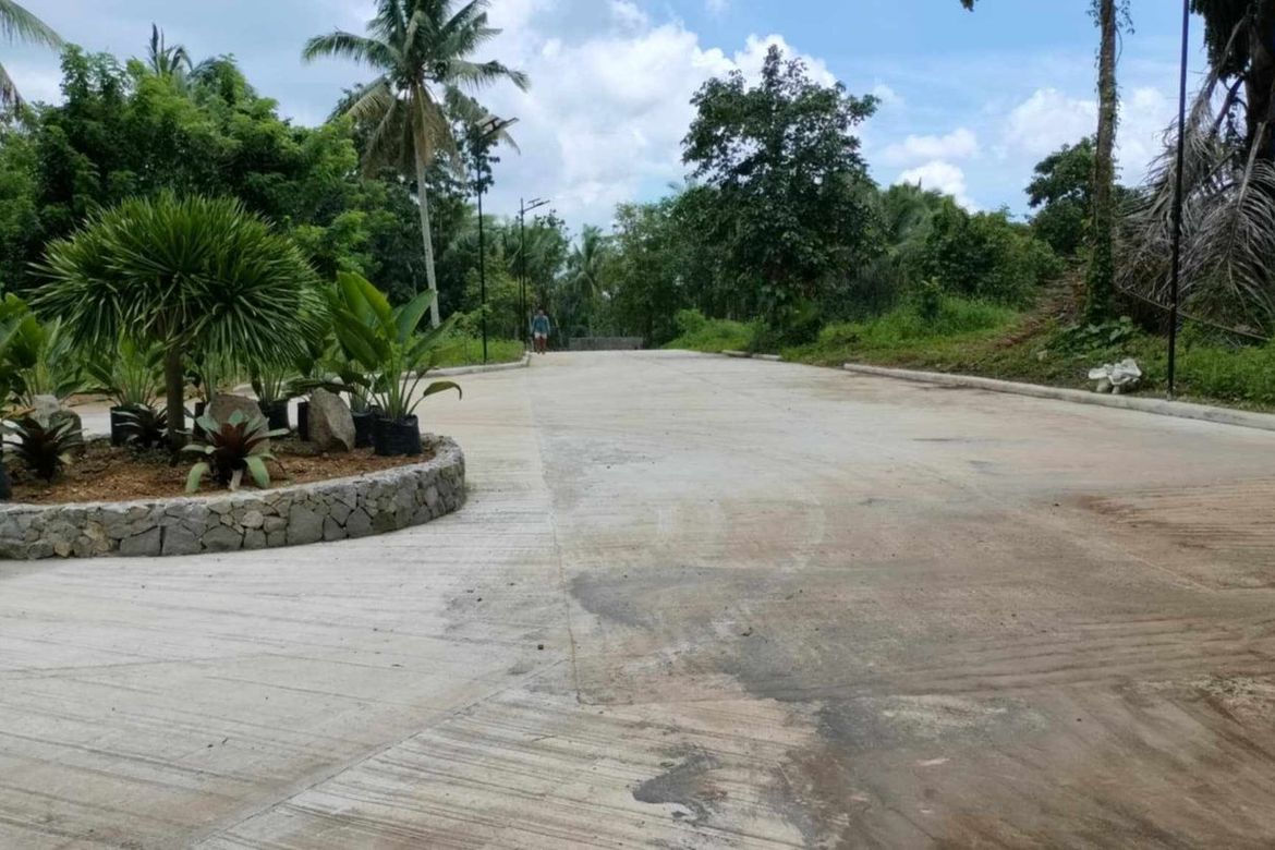 Land for Sale in Mangas I, Alfonso, Cavite – photo 4