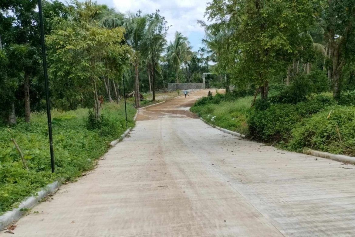 Land for Sale in Mangas I, Alfonso, Cavite – photo 5