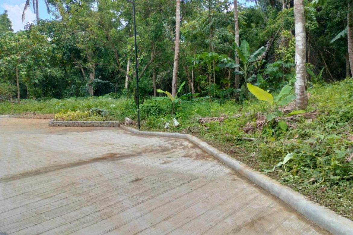 Land for Sale in Mangas I, Alfonso, Cavite – photo 7