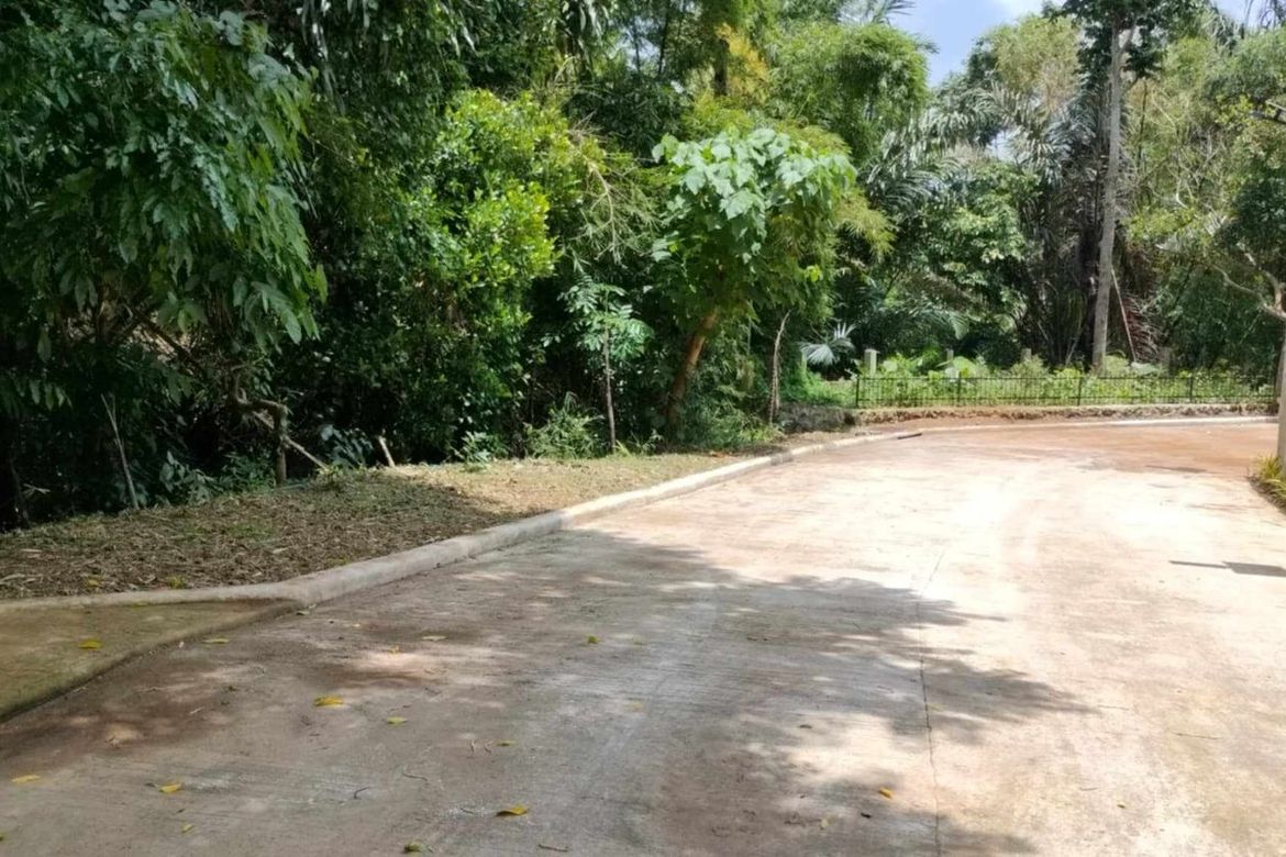 Land for Sale in Mangas I, Alfonso, Cavite – photo 4