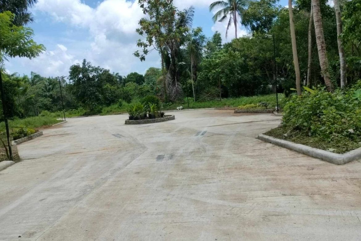 Land for Sale in Mangas I, Alfonso, Cavite – photo 6