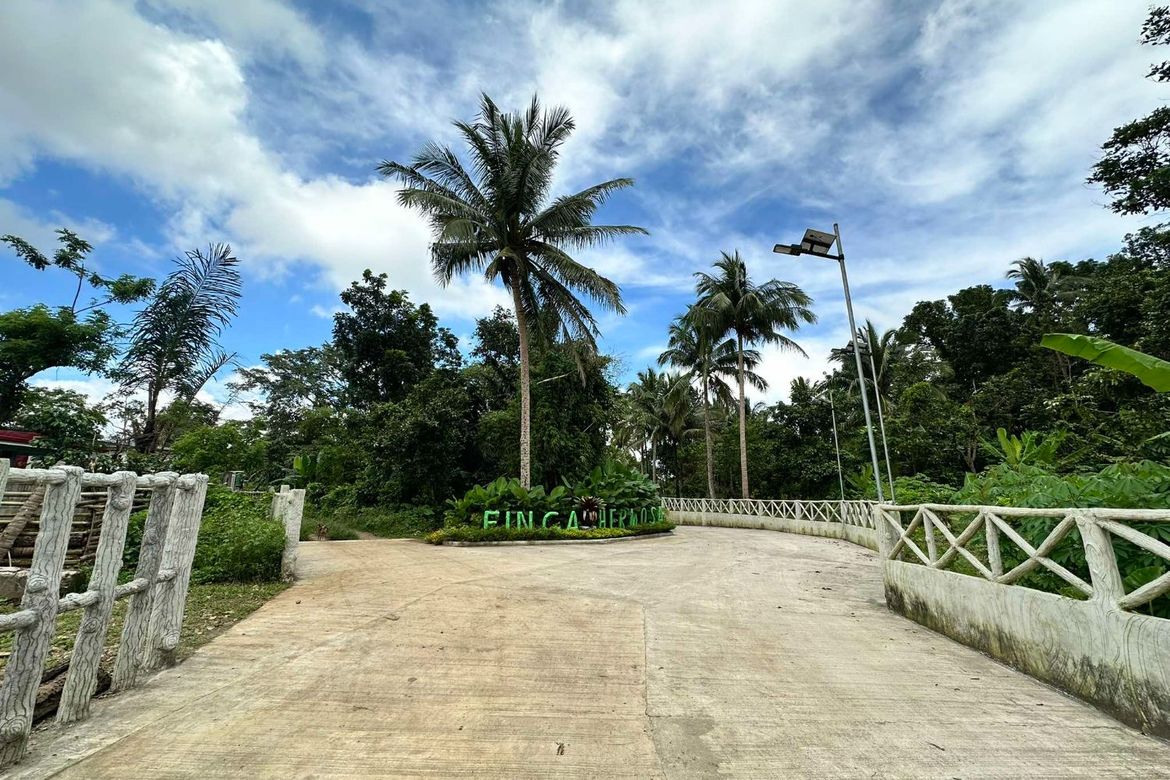 Land for Sale in Mangas I, Alfonso, Cavite – photo 2