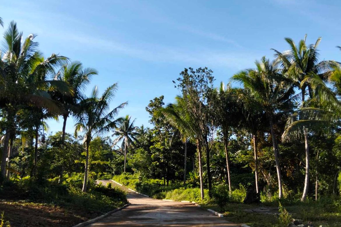 Land for Sale in Mangas I, Alfonso, Cavite