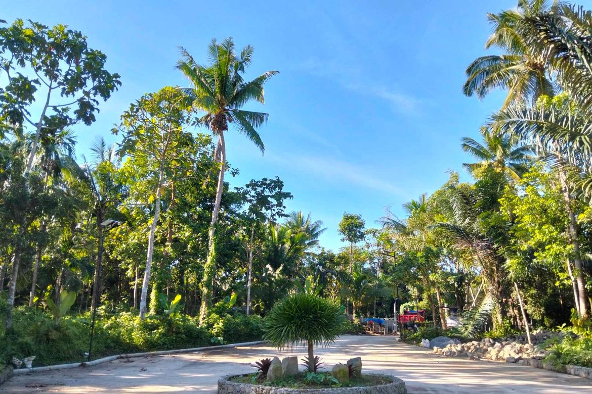 Land for Sale in Mangas I, Alfonso, Cavite – photo 2