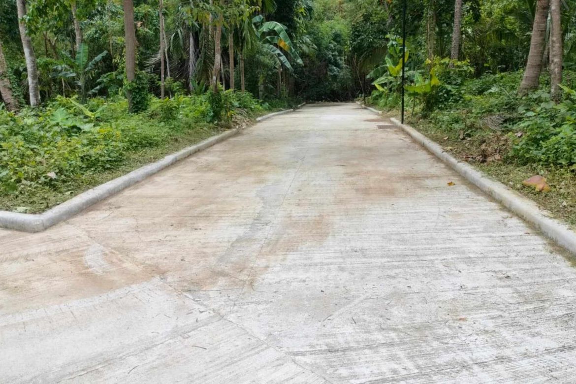 Land for Sale in Mangas I, Alfonso, Cavite – photo 3