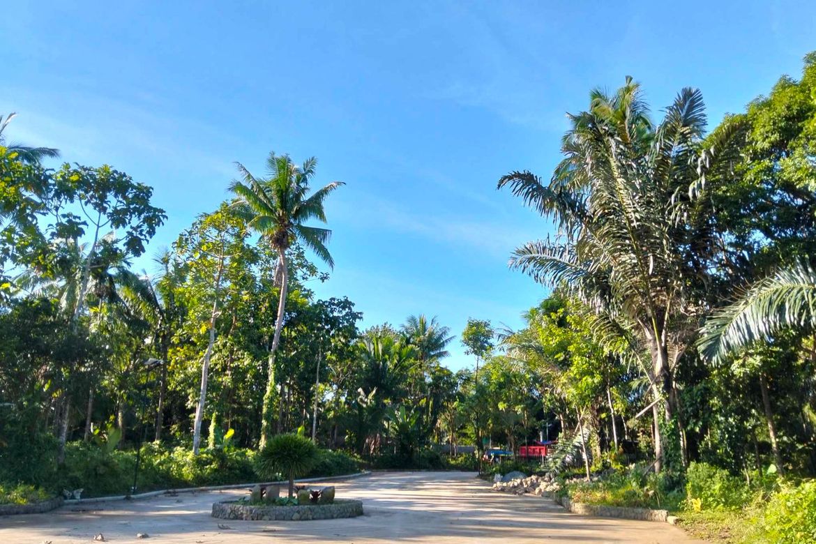 Land for Sale in Mangas I, Alfonso, Cavite – photo 4