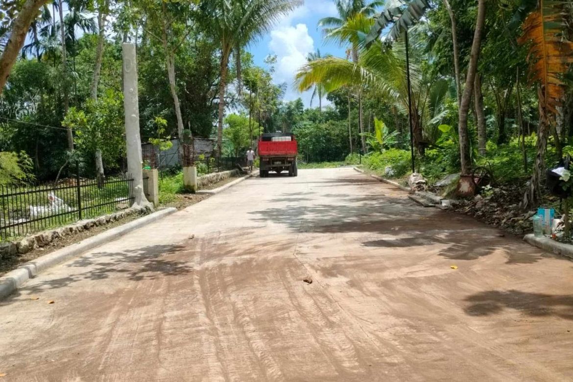 Land for Sale in Mangas I, Alfonso, Cavite – photo 6