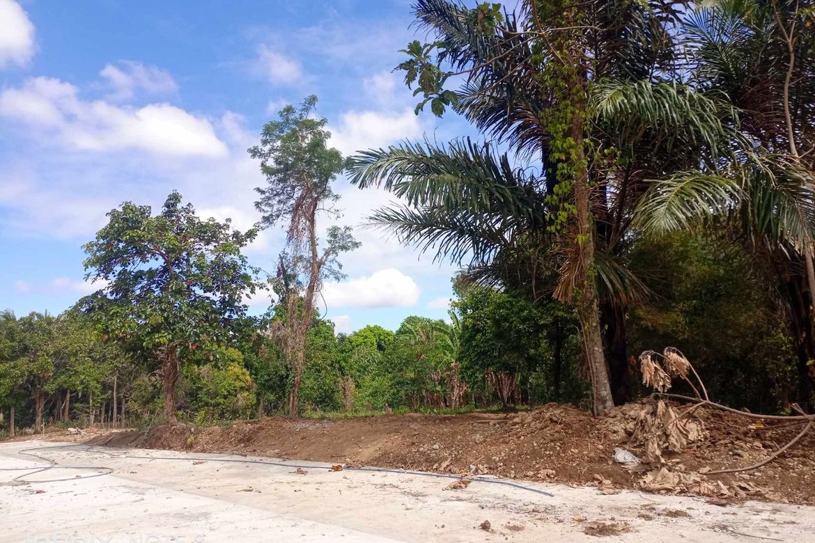 Land for Sale in Mangas I, Alfonso, Cavite – photo 7