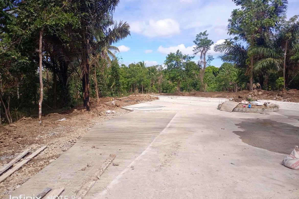 Land for Sale in Mangas I, Alfonso, Cavite – photo 8