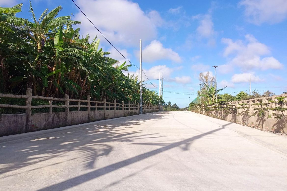 Land for Sale in Mangas I, Alfonso, Cavite – photo 2