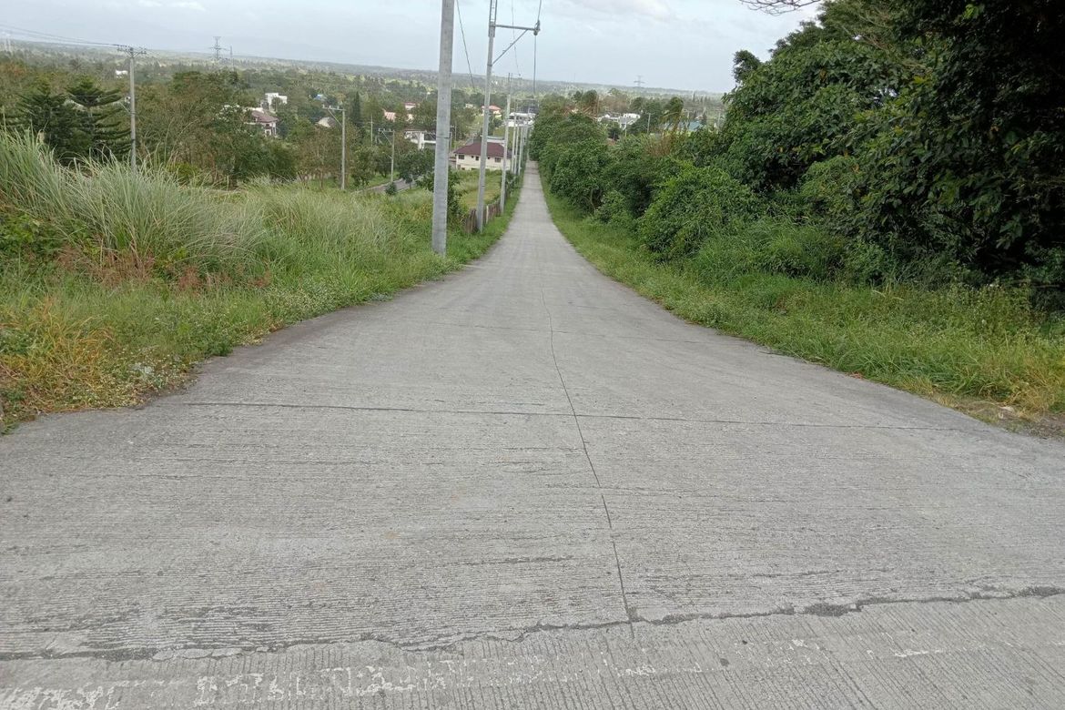 Land for Sale in Mangas I, Alfonso, Cavite – photo 2