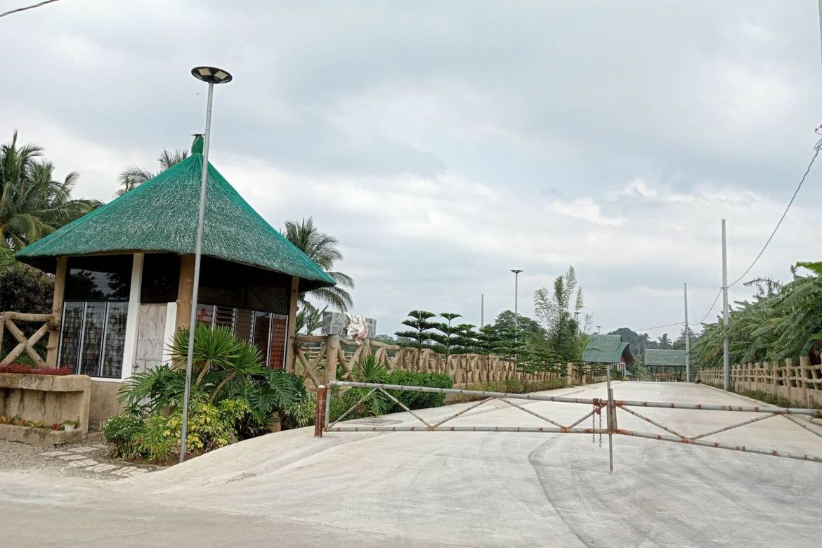 Land for Sale in Mangas I, Alfonso, Cavite – photo 5