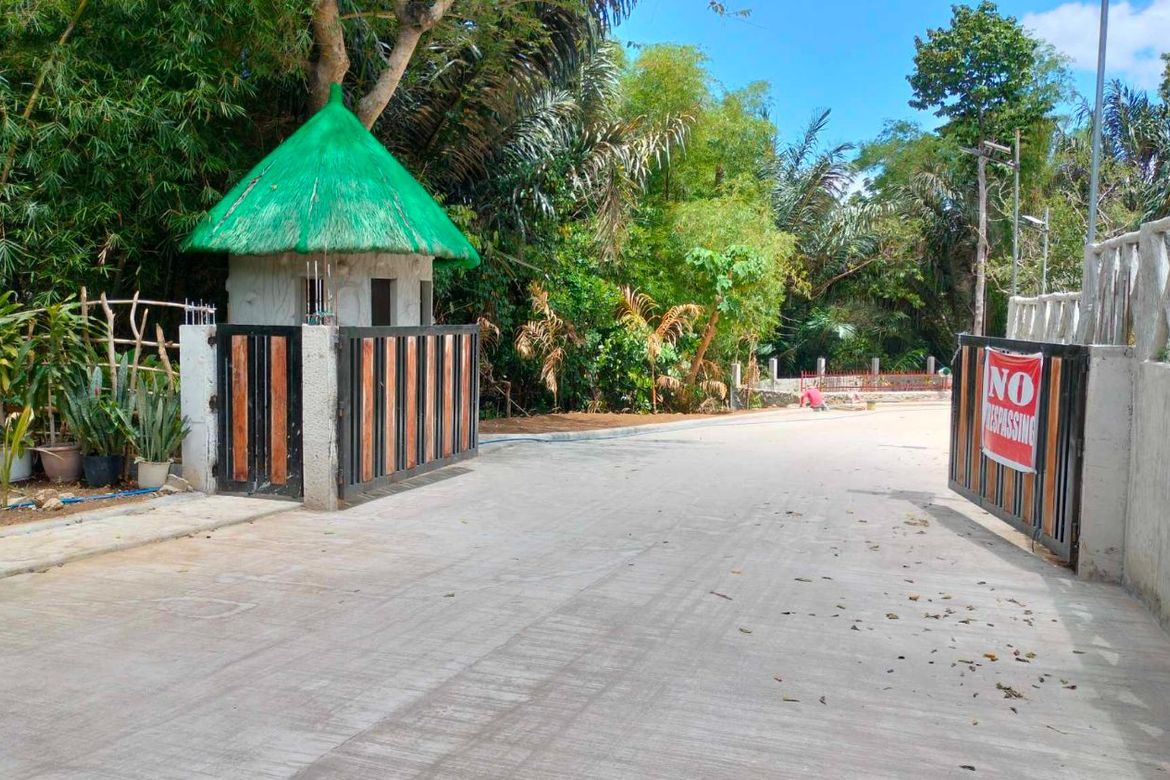 Land for Sale in Mangas I, Alfonso, Cavite – photo 4