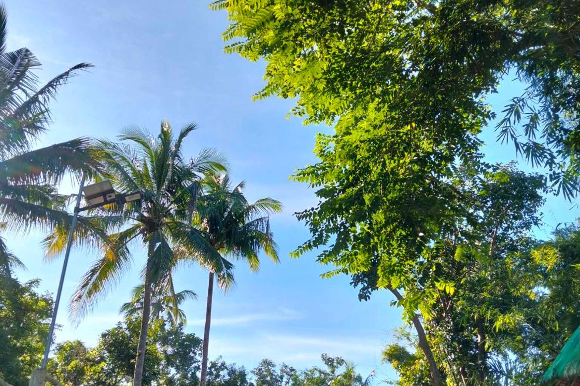 Land for Sale in Mangas I, Alfonso, Cavite – photo 6