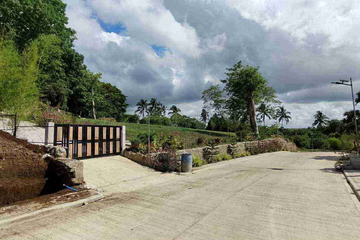 Land for Sale in Mangas I, Alfonso, Cavite – photo 7