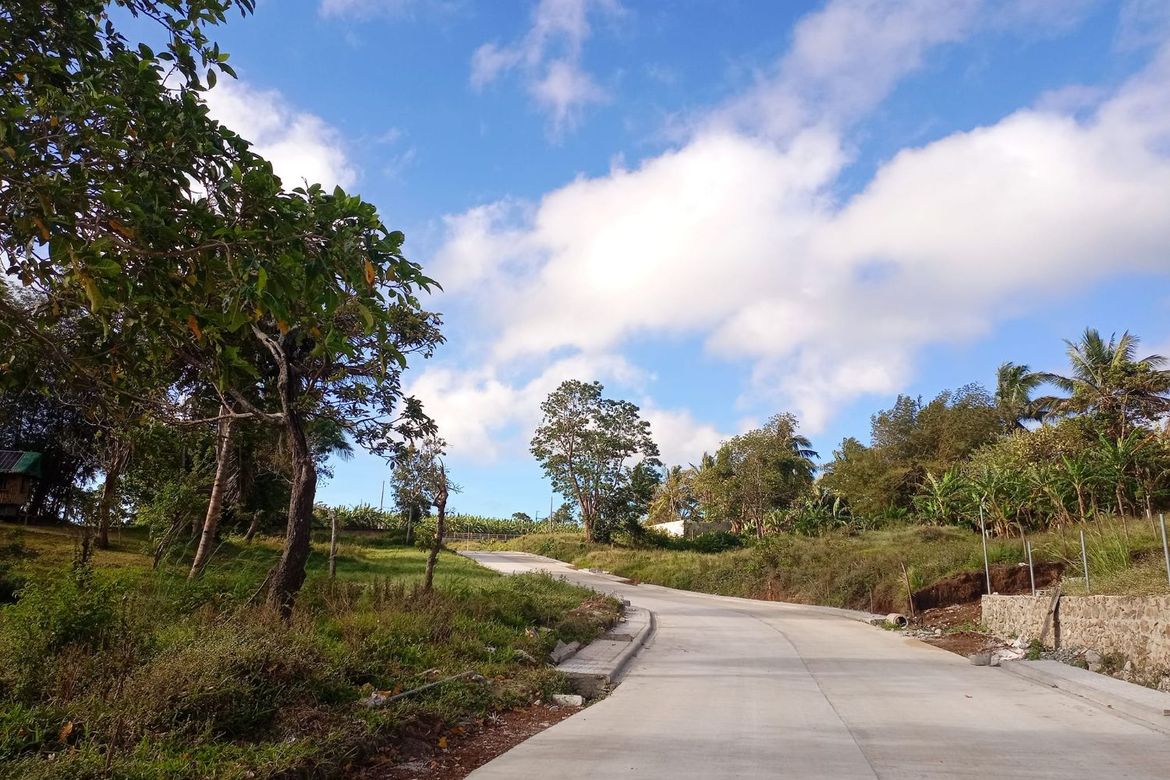 Land for Sale in Mangas I, Alfonso, Cavite – photo 4
