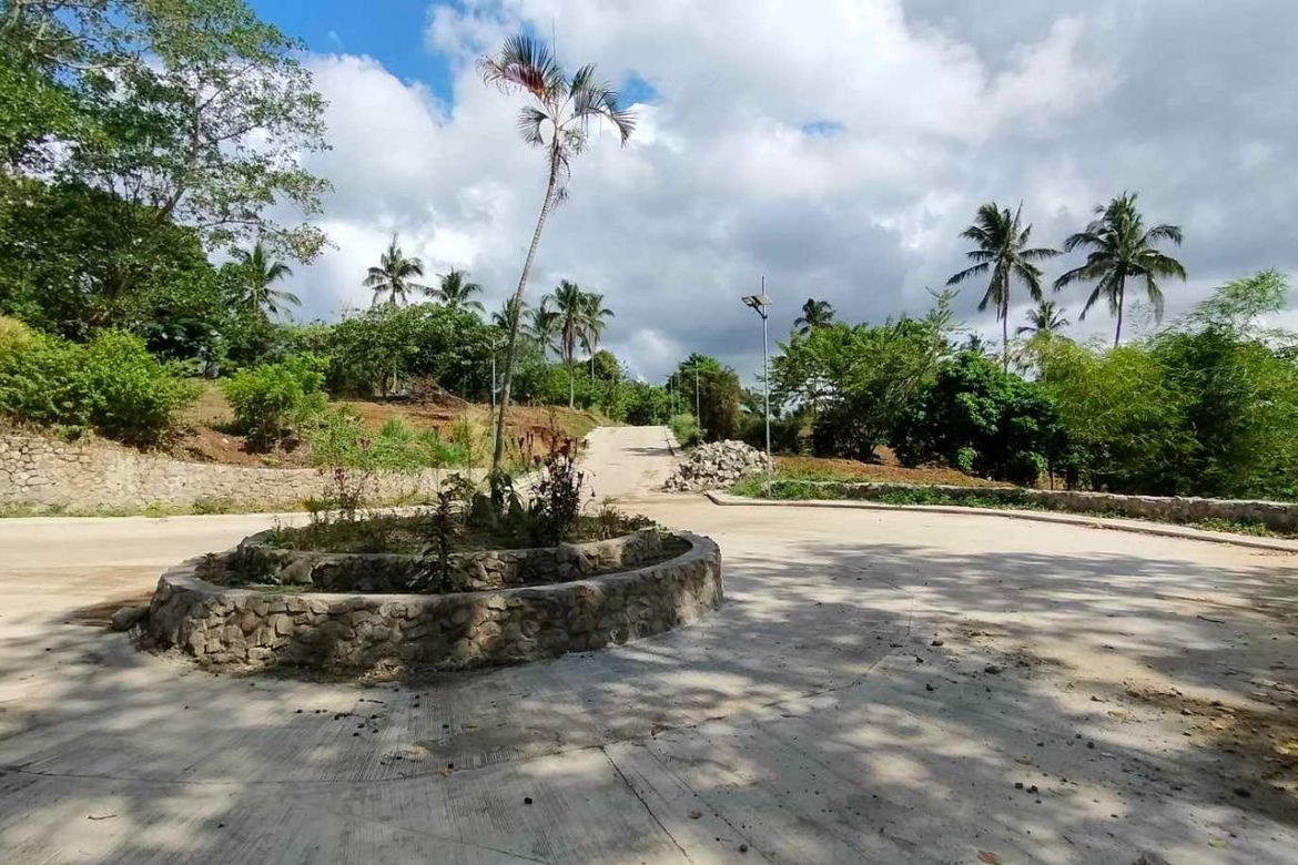 Land for Sale in Mangas I, Alfonso, Cavite – photo 5