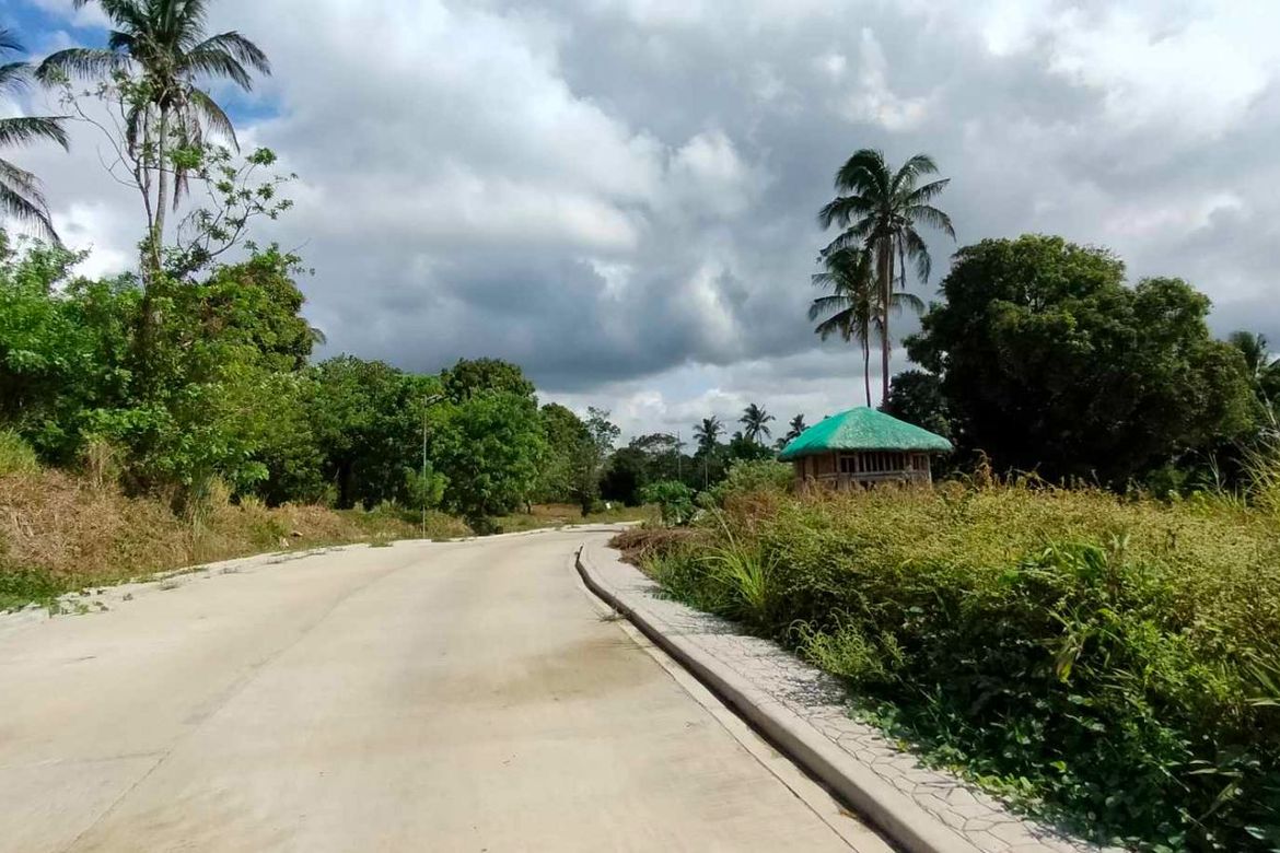 Land for Sale in Mangas I, Alfonso, Cavite – photo 6