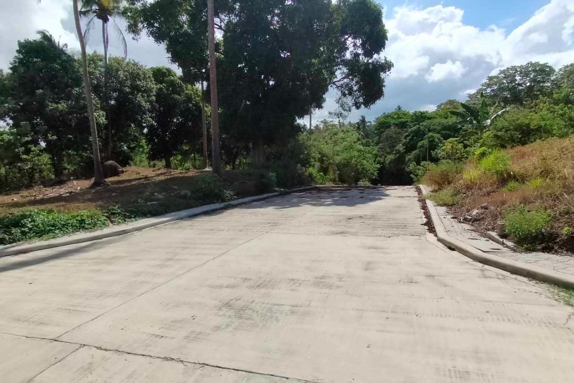 Land for Sale in Mangas I, Alfonso, Cavite – photo 7
