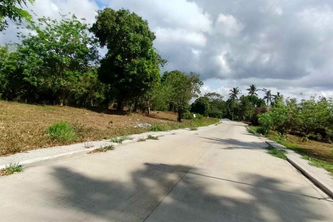 Land for Sale in Mangas I, Alfonso, Cavite – photo 8