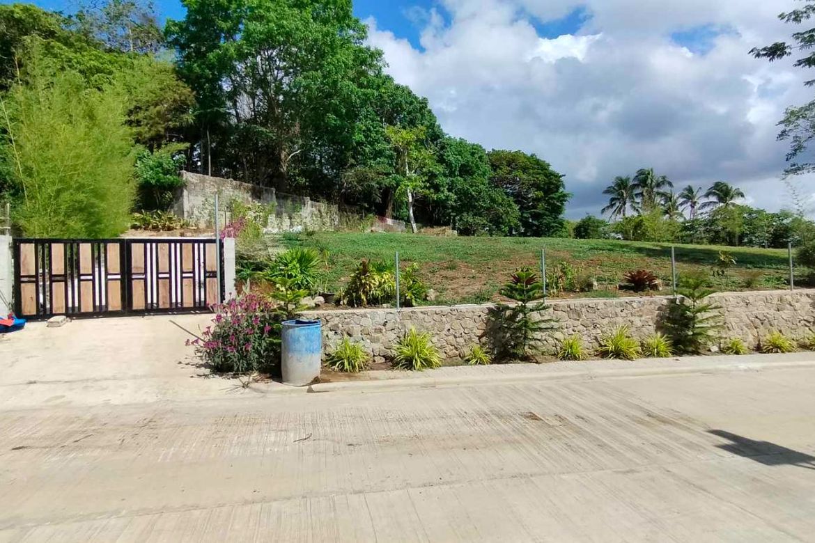 Land for Sale in Mangas I, Alfonso, Cavite – photo 3