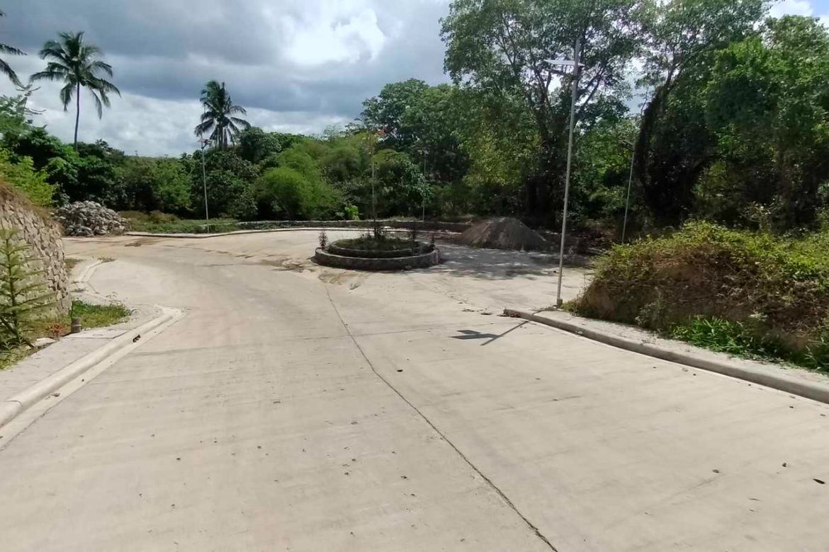Land for Sale in Mangas I, Alfonso, Cavite – photo 4