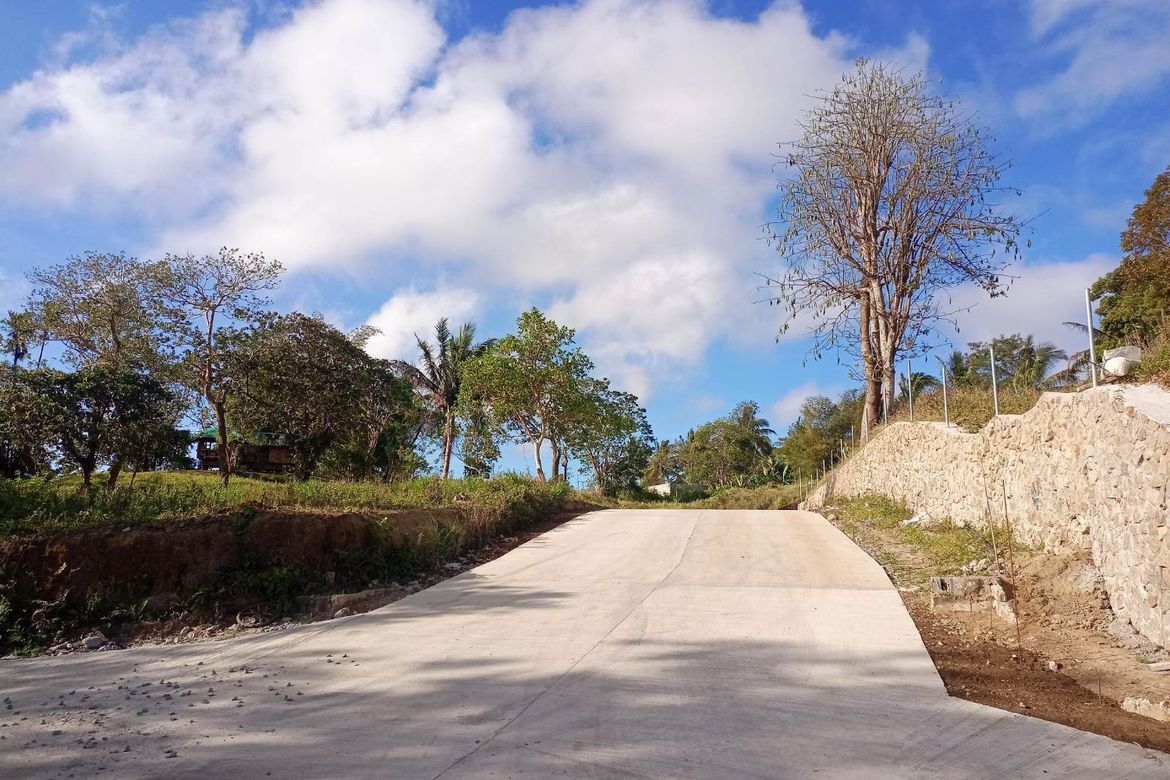 Land for Sale in Mangas I, Alfonso, Cavite – photo 7
