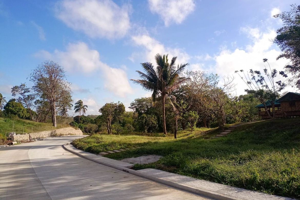 Land for Sale in Mangas I, Alfonso, Cavite