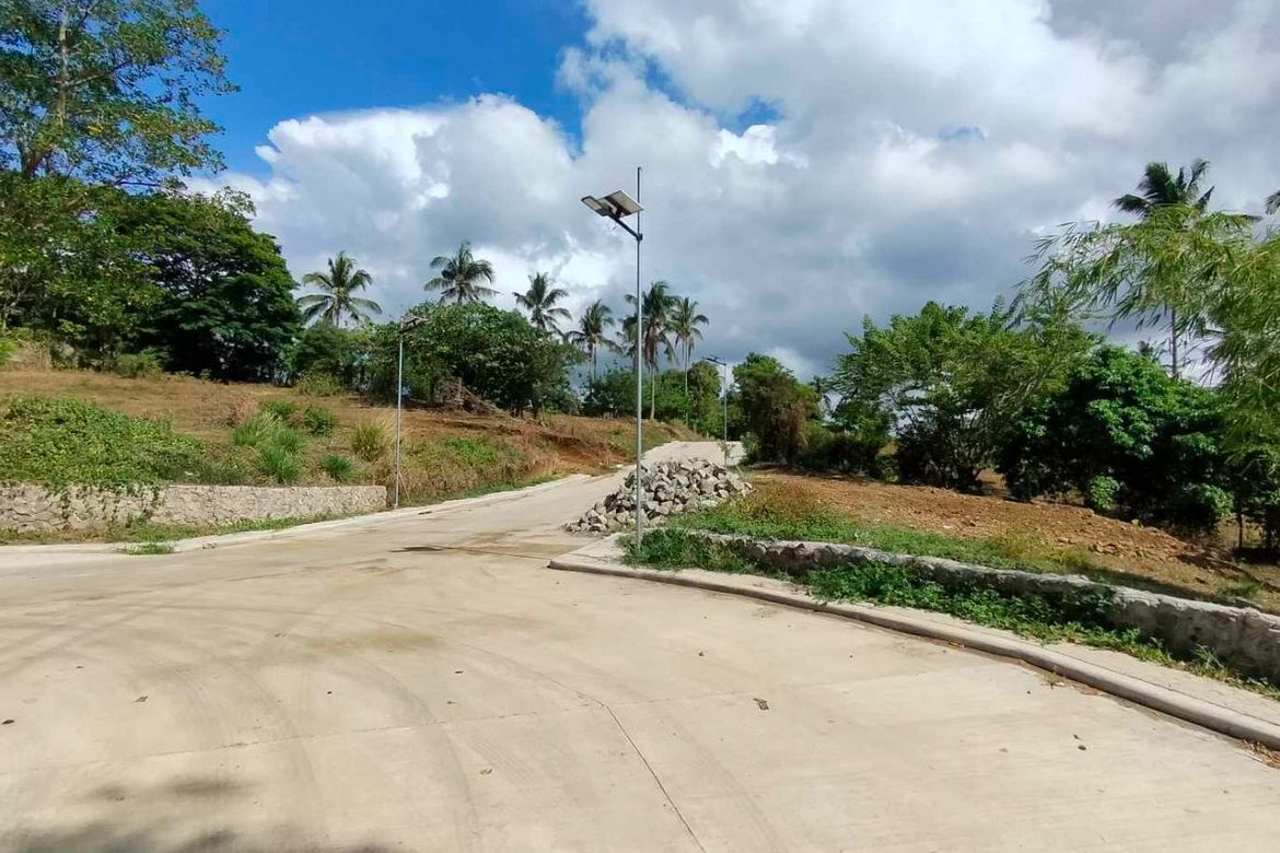 Land for Sale in Mangas I, Alfonso, Cavite – photo 3
