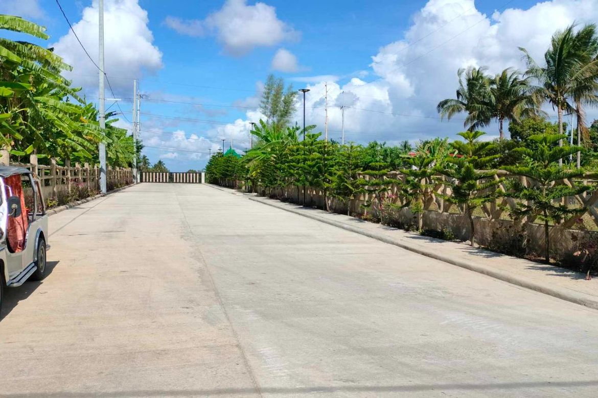 Land for Sale in Mangas I, Alfonso, Cavite – photo 8